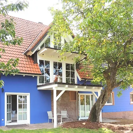 Sophia Spessarthauser 4*