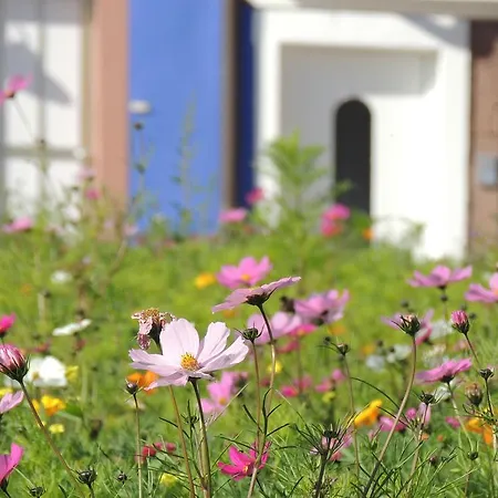 Sophia Spessarthauser Hotel Marktheidenfeld