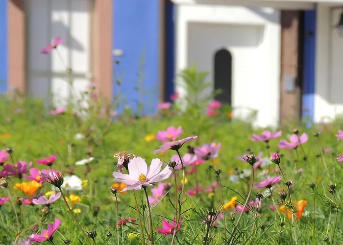 Sophia Spessarthauser 호텔 마르크차이덴펠트